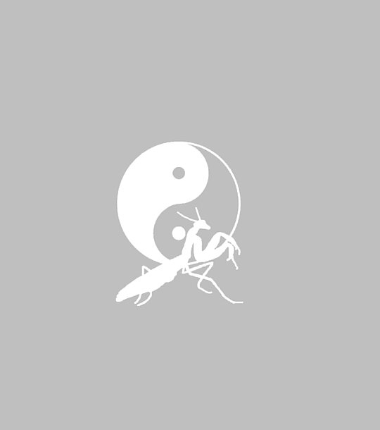 Wushu